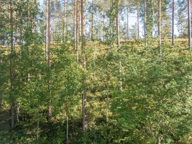 Дома для отпуска Holiday Home Hiukanhelmi Соткамо-4